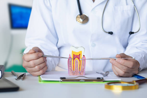 Best Emergency Dental Care for Trauma or Injury in Edinboro, PA